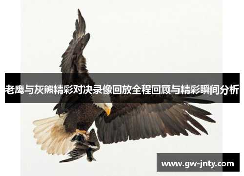 老鹰与灰熊精彩对决录像回放全程回顾与精彩瞬间分析